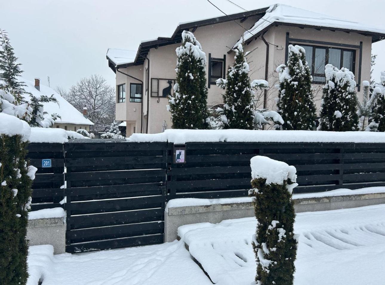 Casa Pisica Noastra Hotel Breaza  Luaran gambar
